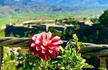 Gjirokastra, Full Day Trip from Tirana