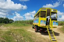 Half day Dominican Safari Experience ... / Half day Safari Excursion