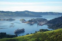 Dunedin Shore Excursion City Sightseeing & Tour of Larnach Castle