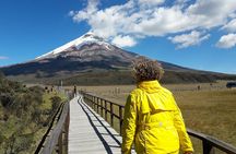 Cotopaxi Volcano full day tour with all the entrances, every day 