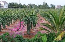 Best mekong delta bike tour