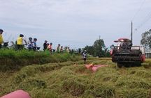Best mekong delta bike tour