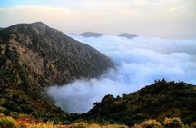 Abha Day Tour