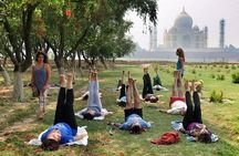 Yoga Tour To India 