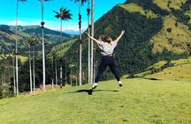 Salento Valle del Cocora and Filandia