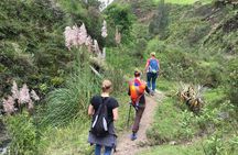 6-Day Hiking Ecuadorian Andes