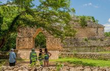 Half-Day Tour Ek Balam and Cenote from Valladolid