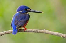 Daintree River 'Sunset' Cruise with the Daintree Boatman