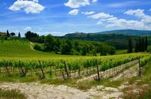 Private Tuscany Day Tour: San Gimignano and Chianti Wine Region from Florence