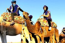  Full Day Trip To Ait Ben Haddou Kasbah through Telouat Vellage