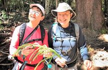 6-7 Hours Private Kauai's Hidden Gems Experience with Snacks