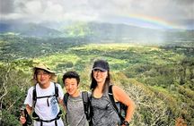 6-7 Hours Private Kauai's Hidden Gems Experience with Snacks