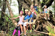 6-7 Hours Private Kauai's Hidden Gems Experience with Snacks