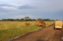 2-Day Private Safari to Amboseli National Park