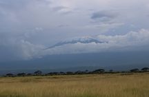 2-Day Private Safari to Amboseli National Park