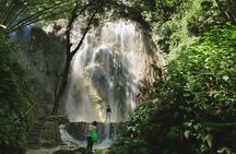 Whale Shark Encounter and Tumalog Waterfalls Tour