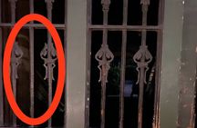 New Orleans Ghost Hunt Experience: Voices from Beyond