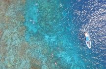 Captain Cook Snorkel Tour with Sea Caves, History and Lava Tubes