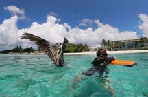 Aruba Seabob Scooter Reef Tour 