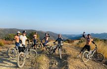Santa Monica Roller Coaster Electric Mountain Biking Tour (Intermediate) 