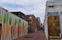 Historic Alleyways Guided Walking Tour of Washington DC