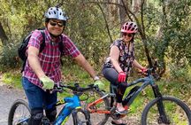 Scenic Santa Monica Electric Mountain Biking Tour (Beginner) 