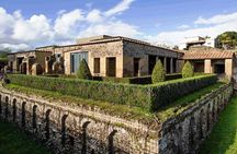 Small-Group Tour in Pompeii with a Real Archeologist, ticket included 