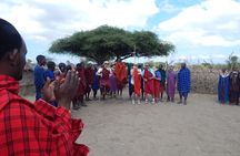5 Days Safari to Serengeti, Ngorongoro, Tarangire from Arusha