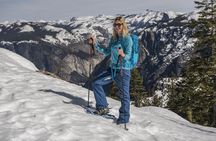Private Guided Snowshoe Hike in Yosemite