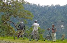 Explore Mindo Cloud Forest on a Full-Day Mountain Biking Tour