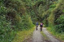 Explore Mindo Cloud Forest on a Full-Day Mountain Biking Tour