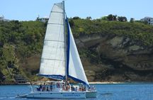 Too Rhum Punch – Private charter Sail w/ Lunch & Open Bar