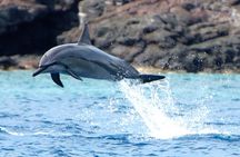 Big Island: Captain Cook Snorkel On A Power Catamaran With Lunch