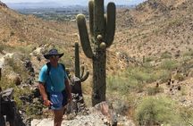 Sonoran Desert Solo Hike for 1.5 Hours with Private Guide
