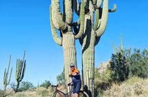  Sonoran Desert Solo Mountain Bike Half Day Ride all levels