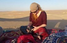 Private Day tour to White Desert and Bahariya Oasis Tour