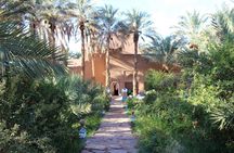 "Amazraou Oasis Sahara Expedition | Private & Luxury
