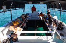Glass-Bottom Boat Cruise from Waikoloa