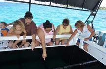 Glass-Bottom Boat Cruise from Waikoloa
