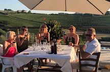 Biodynamic Wine Tasting with Producer in Vinci