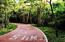 Ixtapa bike tour