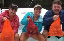 Private Scalloping Charter in Crystal River – Dive for Treasure