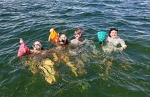 Private Scalloping Charter in Crystal River – Dive for Treasure