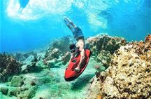 Snorkel & Seabob Reef Tour