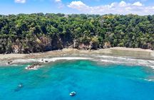 7 Day Adventure and Wildlife Tour in Drake Bay and Osa