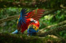 7 Day Adventure and Wildlife Tour in Drake Bay and Osa