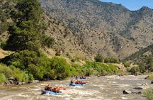Bighorn Sheep Canyon Tour