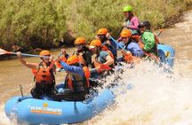 Bighorn Sheep Canyon Full Day Whitewater Rafting (FREE Wetsuits)