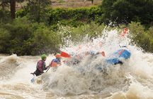 Royal Gorge Full Day Whitewater Rafting (Free Wetsuit Use!)