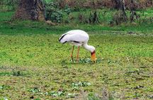 2-Day Private Safari to Lake Nakuru and Hell's Gate Parks